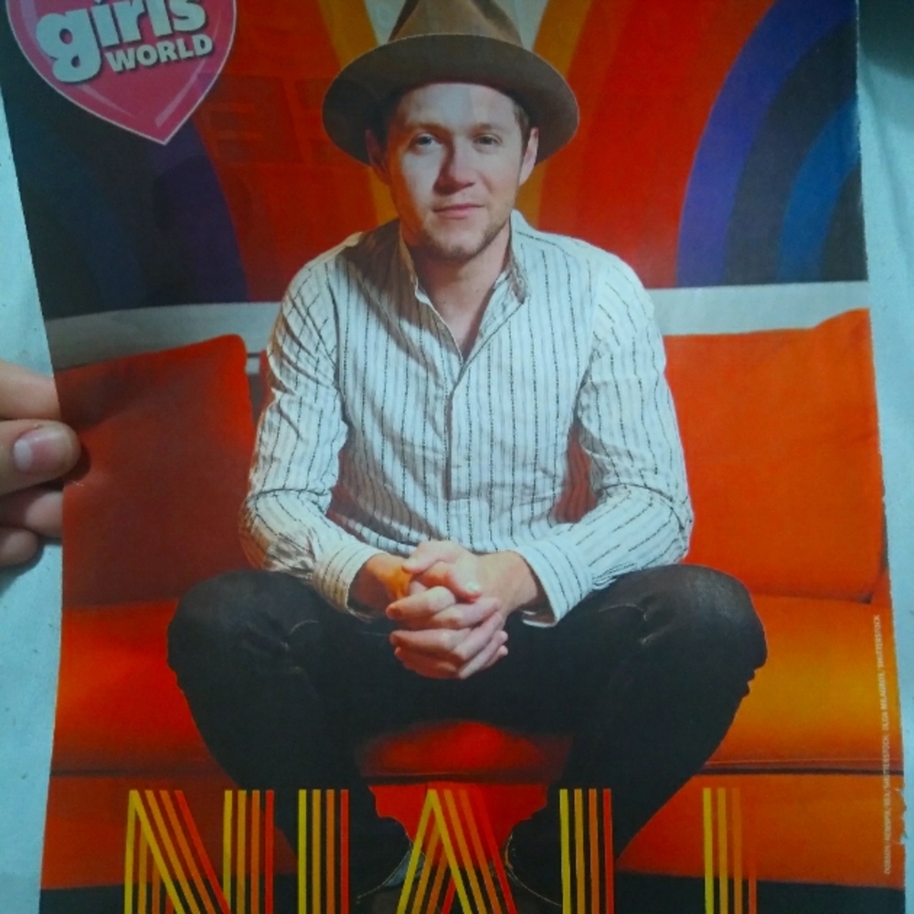 Girls' World Small Niall Horan/Danger Force Poster